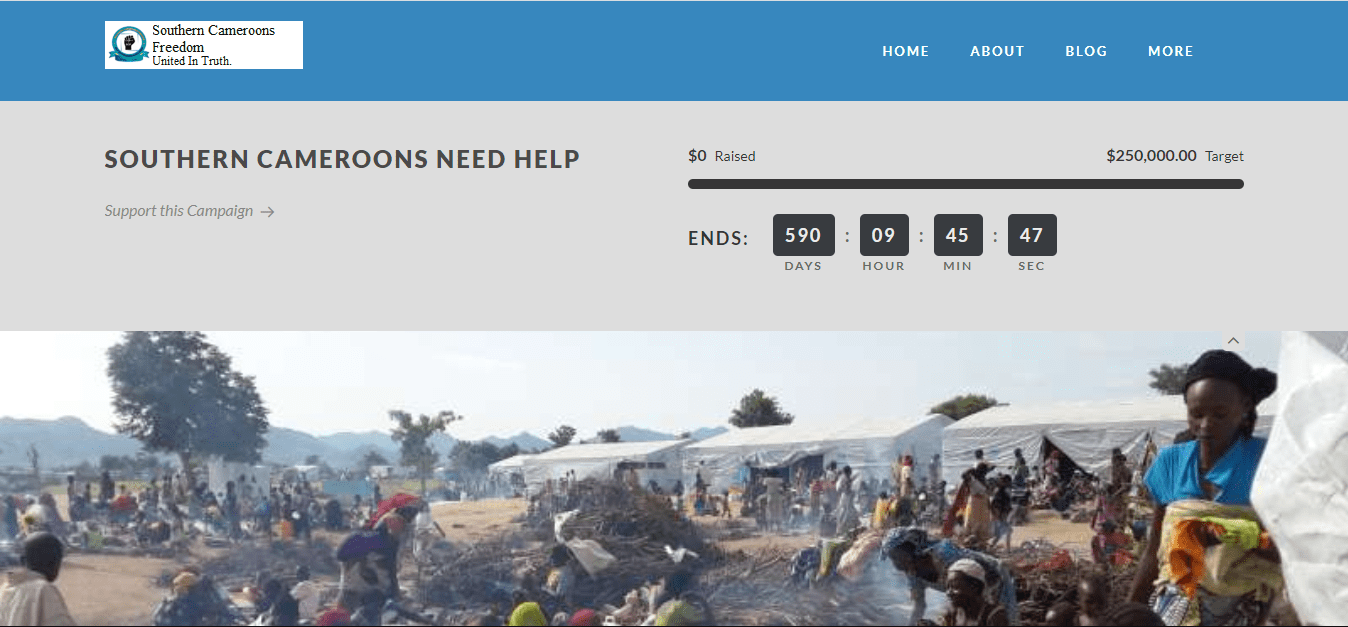 Charity website customization